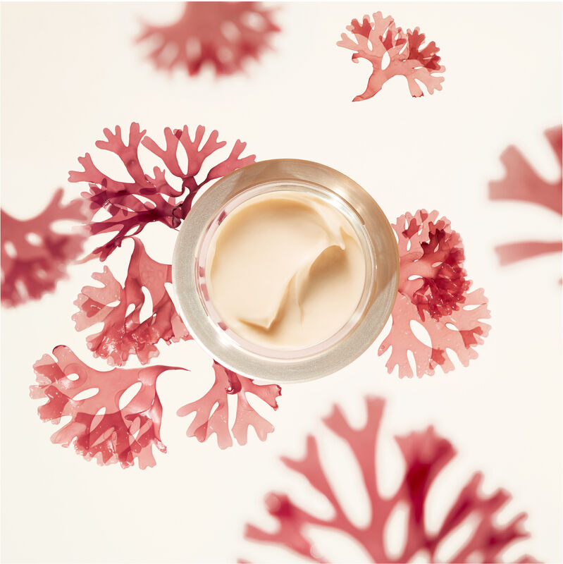 Wrinkle Smoothing Cream Enriched, 