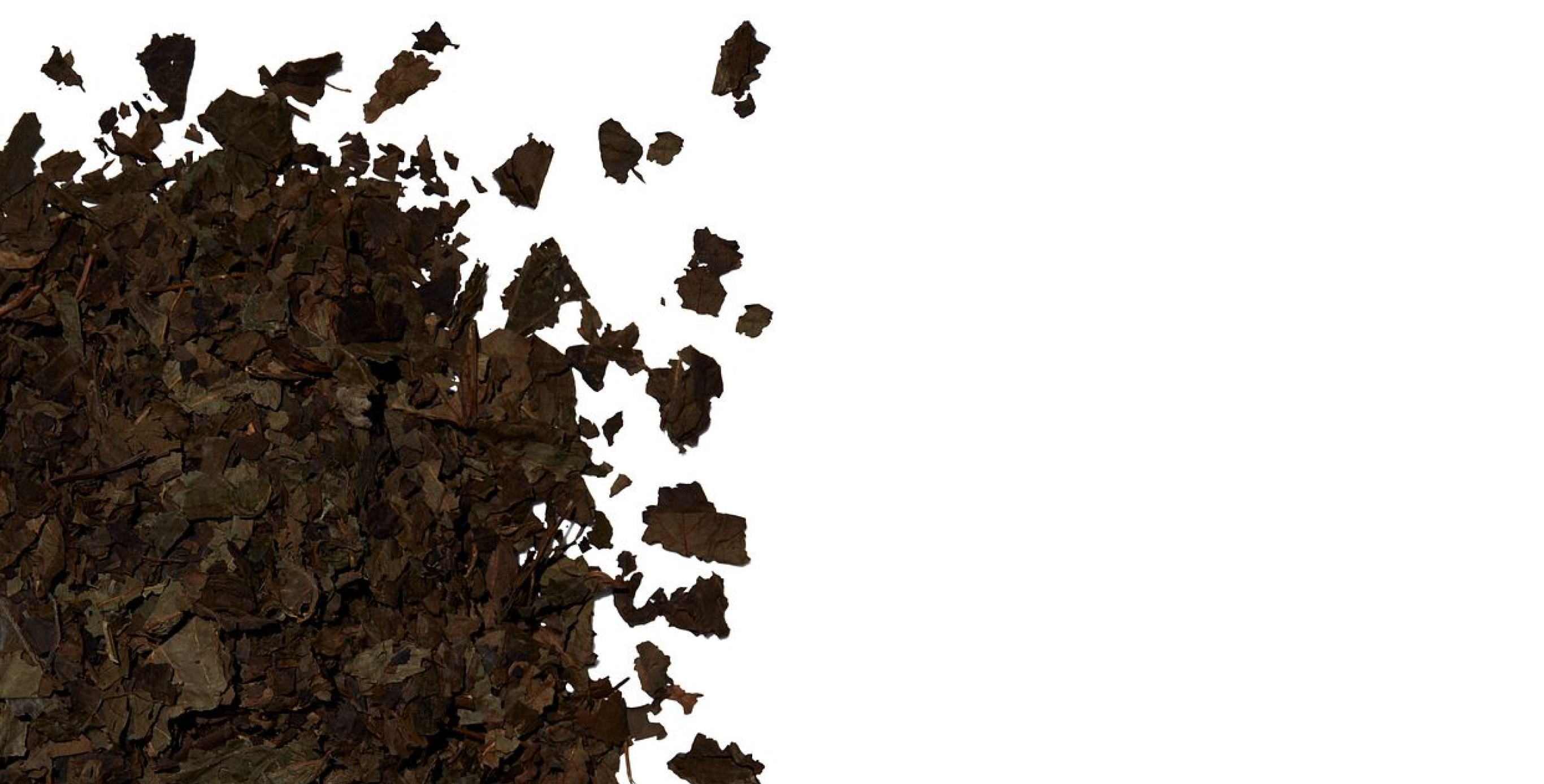 Ingredient: TENCHA R.E.M.