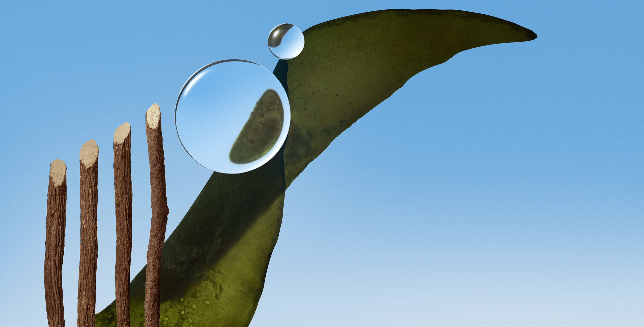 Ingredient: Antioxidant-Packed Botanicals